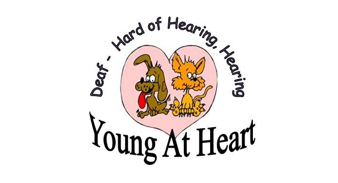 Young of Heart logo with image of heart with Dog and Cat inside